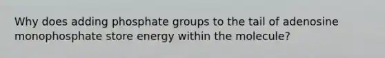 Why does adding phosphate groups to the tail of adenosine monophosphate store energy within the molecule?