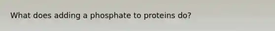 What does adding a phosphate to proteins do?