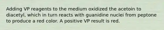 Adding VP reagents to the medium oxidized the acetoin to diacetyl, which in turn reacts with guanidine nuclei from peptone to produce a red color. A positive VP result is red.