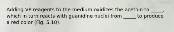 Adding VP reagents to the medium oxidizes the acetoin to _____, which in turn reacts with guanidine nuclei from _____ to produce a red color (Fig. 5.10).