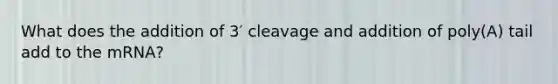 What does the addition of 3′ cleavage and addition of poly(A) tail add to the mRNA?