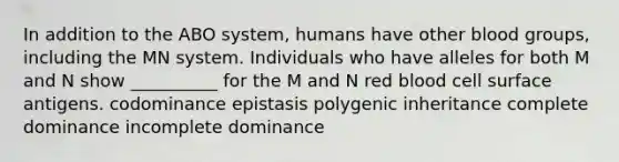 In addition to the ABO system, humans have other <a href='https://www.questionai.com/knowledge/kYZPOX2Y3u-blood-groups' class='anchor-knowledge'>blood groups</a>, including the MN system. Individuals who have alleles for both M and N show __________ for the M and N red blood cell surface antigens. codominance epistasis polygenic inheritance complete dominance incomplete dominance