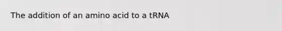 The addition of an amino acid to a tRNA