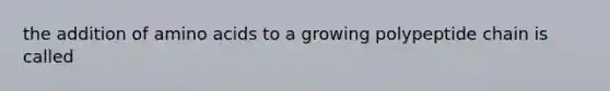 the addition of amino acids to a growing polypeptide chain is called