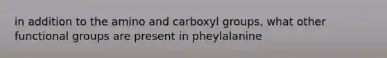 in addition to the amino and carboxyl groups, what other functional groups are present in pheylalanine