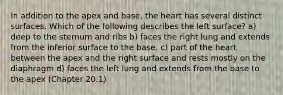 In addition to the apex and base, the heart has several distinct surfaces. Which of the following describes the left surface? a) deep to the sternum and ribs b) faces the right lung and extends from the inferior surface to the base. c) part of the heart between the apex and the right surface and rests mostly on the diaphragm d) faces the left lung and extends from the base to the apex (Chapter 20.1)