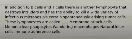 In addition to B cells and T cells there is another lymphocyte that destroys intruders and has the ability to kill a wide variety of infectious microbes pls certain spontaneously arising tumor cells. These lymphocytes are called ___. Membrane attack cells Mononuclear phagocytes Wandering macrophages Natural killer cells Immune adherence cells