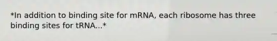 *In addition to binding site for mRNA, each ribosome has three binding sites for tRNA...*