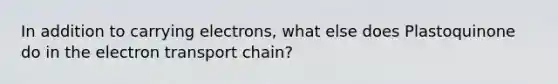 In addition to carrying electrons, what else does Plastoquinone do in the electron transport chain?