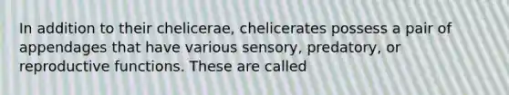 In addition to their chelicerae, chelicerates possess a pair of appendages that have various sensory, predatory, or reproductive functions. These are called