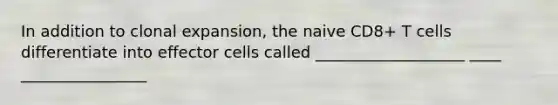 In addition to clonal expansion, the naive CD8+ T cells differentiate into effector cells called ___________________ ____ ________________