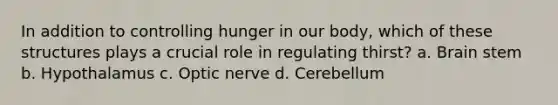 In addition to controlling hunger in our body, which of these structures plays a crucial role in regulating thirst? a. Brain stem b. Hypothalamus c. Optic nerve d. Cerebellum