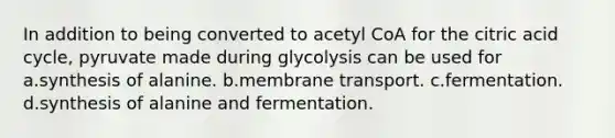 In addition to being converted to acetyl CoA for the citric acid cycle, pyruvate made during glycolysis can be used for a.synthesis of alanine. b.membrane transport. c.fermentation. d.synthesis of alanine and fermentation.