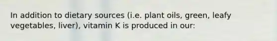 In addition to dietary sources (i.e. plant oils, green, leafy vegetables, liver), vitamin K is produced in our: