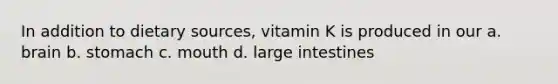 In addition to dietary sources, vitamin K is produced in our a. brain b. stomach c. mouth d. <a href='https://www.questionai.com/knowledge/kGQjby07OK-large-intestine' class='anchor-knowledge'>large intestine</a>s