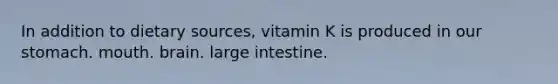 In addition to dietary sources, vitamin K is produced in our stomach. mouth. brain. large intestine.