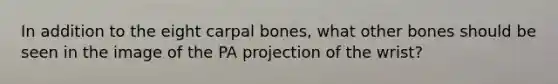 In addition to the eight carpal bones, what other bones should be seen in the image of the PA projection of the wrist?