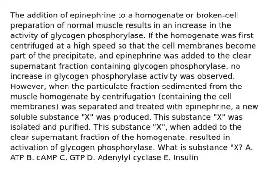 The addition of epinephrine to a homogenate or broken-cell preparation of normal muscle results in an increase in the activity of glycogen phosphorylase. If the homogenate was first centrifuged at a high speed so that the cell membranes become part of the precipitate, and epinephrine was added to the clear supernatant fraction containing glycogen phosphorylase, no increase in glycogen phosphorylase activity was observed. However, when the particulate fraction sedimented from the muscle homogenate by centrifugation (containing the cell membranes) was separated and treated with epinephrine, a new soluble substance "X" was produced. This substance "X" was isolated and purified. This substance "X", when added to the clear supernatant fraction of the homogenate, resulted in activation of glycogen phosphorylase. What is substance "X? A. ATP B. cAMP C. GTP D. Adenylyl cyclase E. Insulin