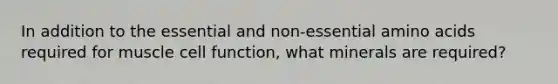 In addition to the essential and non-essential amino acids required for muscle cell function, what minerals are required?