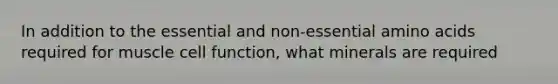 In addition to the essential and non-essential amino acids required for muscle cell function, what minerals are required