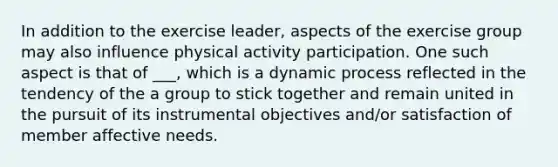 In addition to the exercise leader, aspects of the exercise group may also influence physical activity participation. One such aspect is that of ___, which is a dynamic process reflected in the tendency of the a group to stick together and remain united in the pursuit of its instrumental objectives and/or satisfaction of member affective needs.