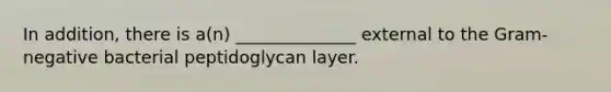 In addition, there is a(n) ______________ external to the Gram-negative bacterial peptidoglycan layer.
