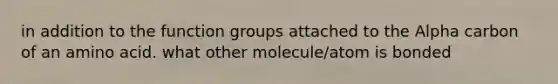 in addition to the function groups attached to the Alpha carbon of an amino acid. what other molecule/atom is bonded