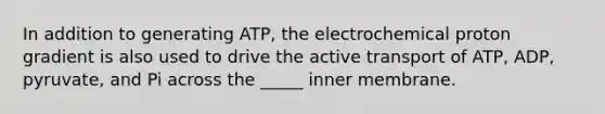 In addition to generating ATP, the electrochemical proton gradient is also used to drive the active transport of ATP, ADP, pyruvate, and Pi across the _____ inner membrane.