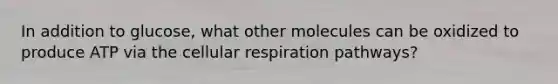 In addition to glucose, what other molecules can be oxidized to produce ATP via the cellular respiration pathways?