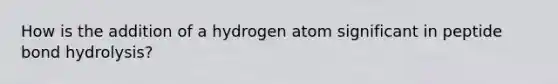 How is the addition of a hydrogen atom significant in peptide bond hydrolysis?