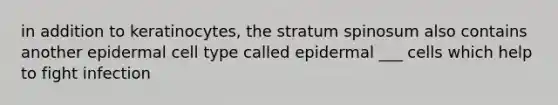 in addition to keratinocytes, the stratum spinosum also contains another epidermal cell type called epidermal ___ cells which help to fight infection