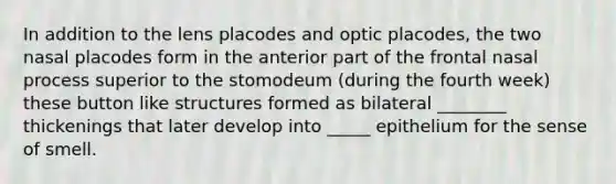 In addition to the lens placodes and optic placodes, the two nasal placodes form in the anterior part of the frontal nasal process superior to the stomodeum (during the fourth week) these button like structures formed as bilateral ________ thickenings that later develop into _____ epithelium for the sense of smell.