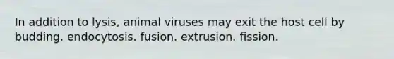 In addition to lysis, animal viruses may exit the host cell by budding. endocytosis. fusion. extrusion. fission.