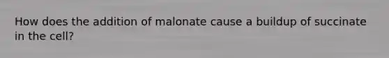 How does the addition of malonate cause a buildup of succinate in the cell?