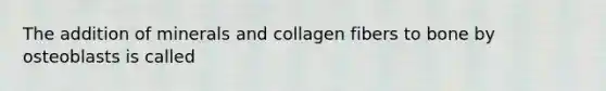 The addition of minerals and collagen fibers to bone by osteoblasts is called