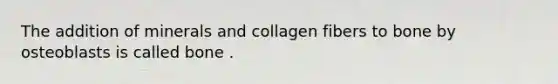 The addition of minerals and collagen fibers to bone by osteoblasts is called bone .