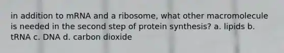 in addition to mRNA and a ribosome, what other macromolecule is needed in the second step of <a href='https://www.questionai.com/knowledge/kVyphSdCnD-protein-synthesis' class='anchor-knowledge'>protein synthesis</a>? a. lipids b. tRNA c. DNA d. carbon dioxide