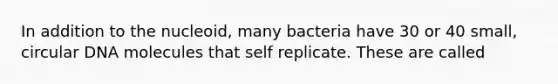 In addition to the nucleoid, many bacteria have 30 or 40 small, circular DNA molecules that self replicate. These are called