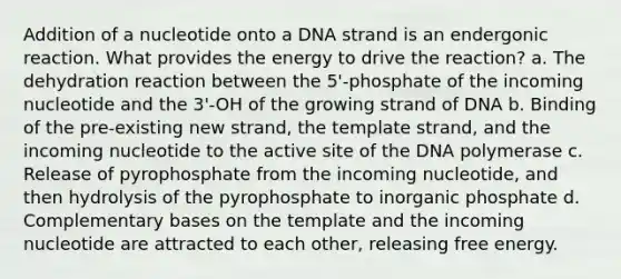 Addition of a nucleotide onto a DNA strand is an endergonic reaction. What provides the energy to drive the reaction? a. The dehydration reaction between the 5'-phosphate of the incoming nucleotide and the 3'-OH of the growing strand of DNA b. Binding of the pre-existing new strand, the template strand, and the incoming nucleotide to the active site of the DNA polymerase c. Release of pyrophosphate from the incoming nucleotide, and then hydrolysis of the pyrophosphate to inorganic phosphate d. Complementary bases on the template and the incoming nucleotide are attracted to each other, releasing free energy.