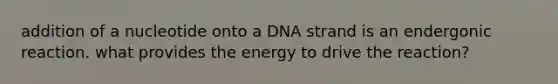 addition of a nucleotide onto a DNA strand is an endergonic reaction. what provides the energy to drive the reaction?