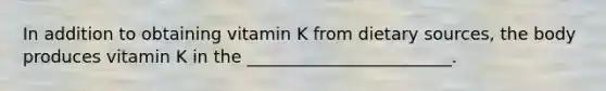 In addition to obtaining vitamin K from dietary sources, the body produces vitamin K in the ________________________.