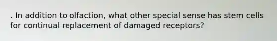 . In addition to olfaction, what other special sense has stem cells for continual replacement of damaged receptors?