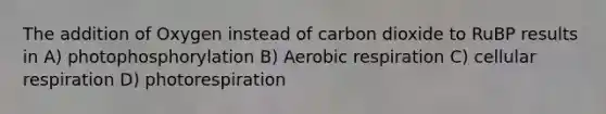 The addition of Oxygen instead of carbon dioxide to RuBP results in A) photophosphorylation B) <a href='https://www.questionai.com/knowledge/kyxGdbadrV-aerobic-respiration' class='anchor-knowledge'>aerobic respiration</a> C) <a href='https://www.questionai.com/knowledge/k1IqNYBAJw-cellular-respiration' class='anchor-knowledge'>cellular respiration</a> D) photorespiration