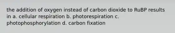 the addition of oxygen instead of carbon dioxide to RuBP results in a. cellular respiration b. photorespiration c. photophosphorylation d. carbon fixation