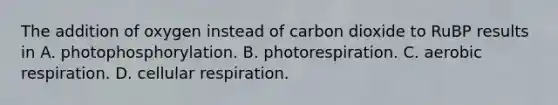 The addition of oxygen instead of carbon dioxide to RuBP results in A. photophosphorylation. B. photorespiration. C. aerobic respiration. D. cellular respiration.