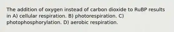 The addition of oxygen instead of carbon dioxide to RuBP results in A) <a href='https://www.questionai.com/knowledge/k1IqNYBAJw-cellular-respiration' class='anchor-knowledge'>cellular respiration</a>. B) photorespiration. C) photophosphorylation. D) <a href='https://www.questionai.com/knowledge/kyxGdbadrV-aerobic-respiration' class='anchor-knowledge'>aerobic respiration</a>.