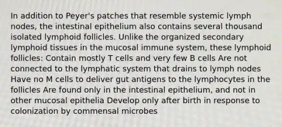 In addition to Peyer's patches that resemble systemic lymph nodes, the intestinal epithelium also contains several thousand isolated lymphoid follicles. Unlike the organized secondary lymphoid tissues in the mucosal immune system, these lymphoid follicles: Contain mostly T cells and very few B cells Are not connected to the lymphatic system that drains to lymph nodes Have no M cells to deliver gut antigens to the lymphocytes in the follicles Are found only in the intestinal epithelium, and not in other mucosal epithelia Develop only after birth in response to colonization by commensal microbes