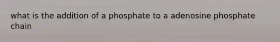 what is the addition of a phosphate to a adenosine phosphate chain