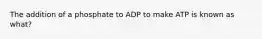 The addition of a phosphate to ADP to make ATP is known as what?