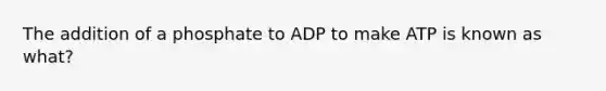 The addition of a phosphate to ADP to make ATP is known as what?